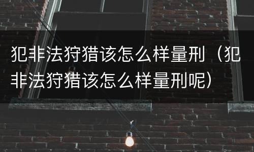犯非法狩猎该怎么样量刑（犯非法狩猎该怎么样量刑呢）