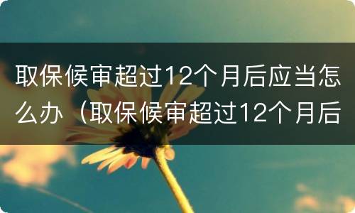 取保候审超过12个月后应当怎么办（取保候审超过12个月后怎么处理）