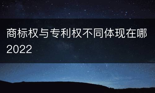 商标权与专利权不同体现在哪2022
