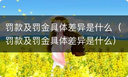 罚款及罚金具体差异是什么（罚款及罚金具体差异是什么）