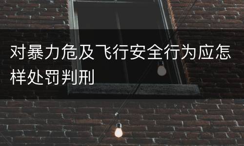 对暴力危及飞行安全行为应怎样处罚判刑