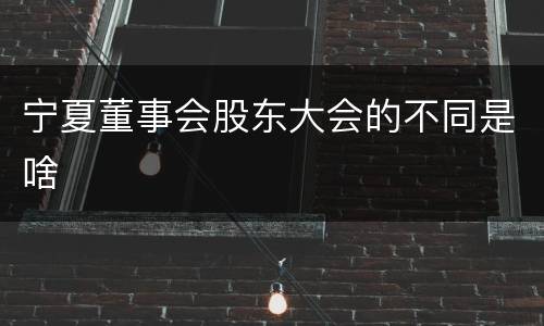 宁夏董事会股东大会的不同是啥