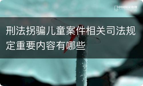 刑法拐骗儿童案件相关司法规定重要内容有哪些