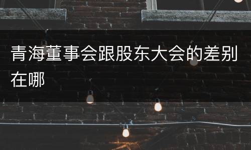 青海董事会跟股东大会的差别在哪