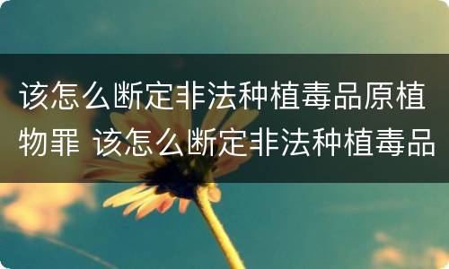 该怎么断定非法种植毒品原植物罪 该怎么断定非法种植毒品原植物罪