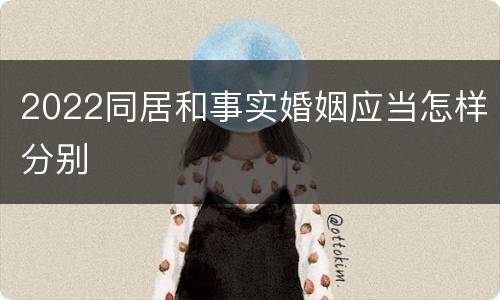 2022同居和事实婚姻应当怎样分别