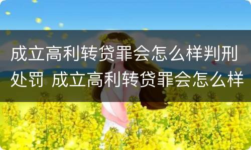 成立高利转贷罪会怎么样判刑处罚 成立高利转贷罪会怎么样判刑处罚案例
