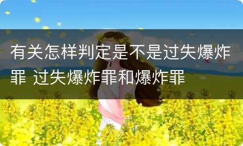 有关怎样判定是不是过失爆炸罪 过失爆炸罪和爆炸罪