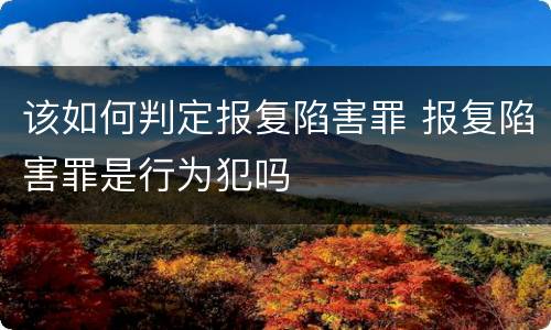 该如何判定报复陷害罪 报复陷害罪是行为犯吗