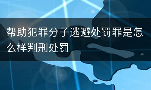 帮助犯罪分子逃避处罚罪是怎么样判刑处罚