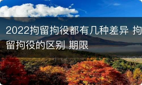 2022拘留拘役都有几种差异 拘留拘役的区别 期限