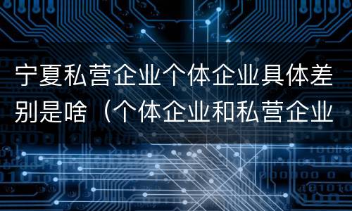 宁夏私营企业个体企业具体差别是啥（个体企业和私营企业的区别）