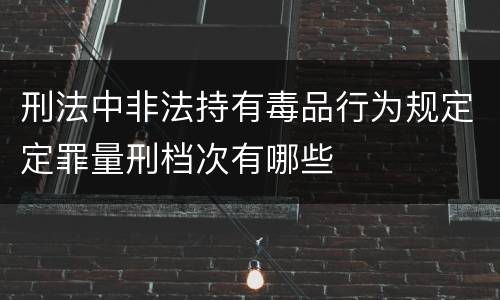 刑法中非法持有毒品行为规定定罪量刑档次有哪些