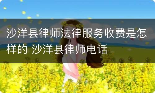 沙洋县律师法律服务收费是怎样的 沙洋县律师电话