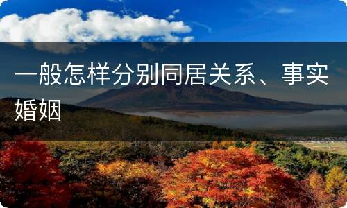 一般怎样分别同居关系、事实婚姻