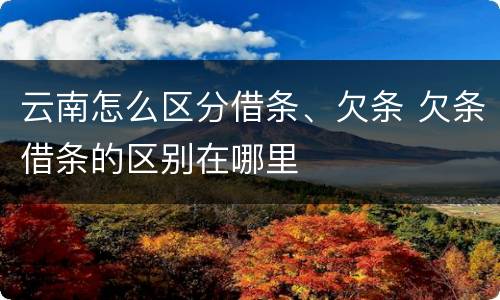 云南怎么区分借条、欠条 欠条借条的区别在哪里