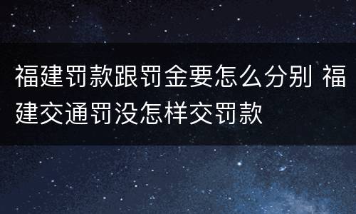 福建罚款跟罚金要怎么分别 福建交通罚没怎样交罚款