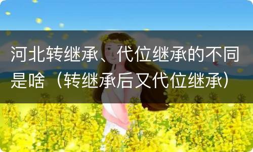 河北转继承、代位继承的不同是啥（转继承后又代位继承）