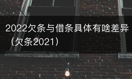 2022欠条与借条具体有啥差异（欠条2021）