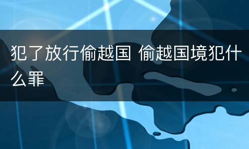 犯了放行偷越国 偷越国境犯什么罪