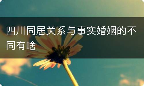 四川同居关系与事实婚姻的不同有啥