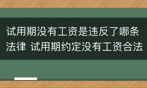 试用期没有工资是违反了哪条法律 试用期约定没有工资合法吗