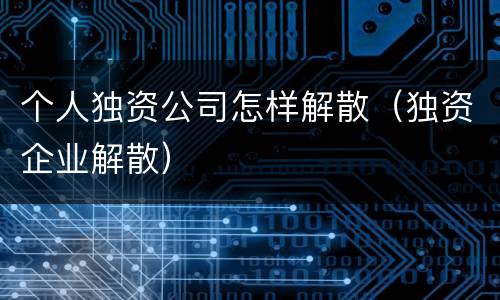 个人独资公司怎样解散（独资企业解散）