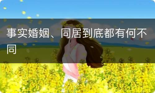 事实婚姻、同居到底都有何不同