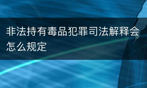非法持有毒品犯罪司法解释会怎么规定