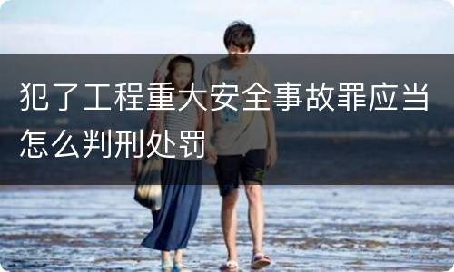 犯了工程重大安全事故罪应当怎么判刑处罚