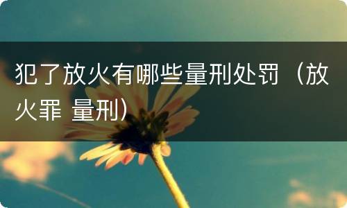 犯了放火有哪些量刑处罚（放火罪 量刑）