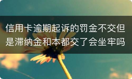 信用卡逾期起诉的罚金不交但是滞纳金和本都交了会坐牢吗