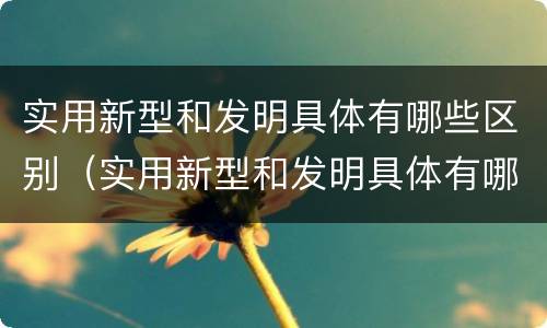 实用新型和发明具体有哪些区别（实用新型和发明具体有哪些区别和联系）
