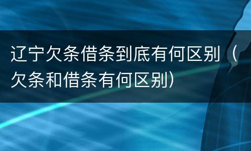 辽宁欠条借条到底有何区别（欠条和借条有何区别）