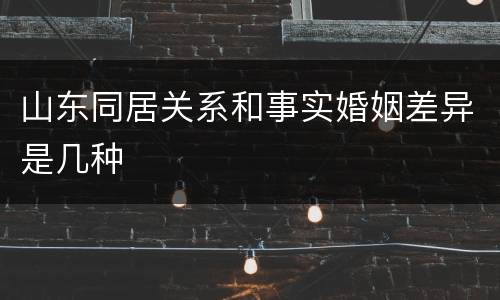 山东同居关系和事实婚姻差异是几种