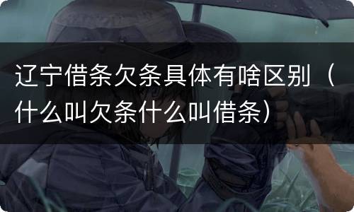 辽宁借条欠条具体有啥区别（什么叫欠条什么叫借条）