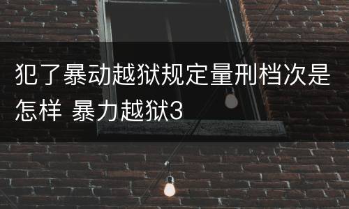 犯了暴动越狱规定量刑档次是怎样 暴力越狱3