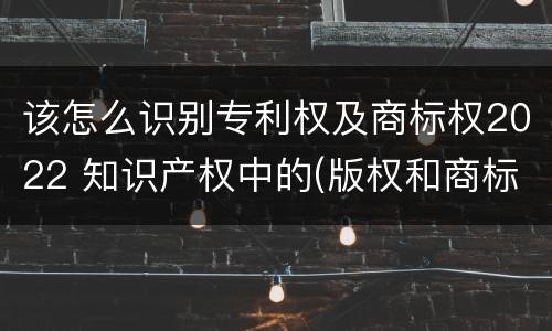 该怎么识别专利权及商标权2022 知识产权中的(版权和商标权与标准