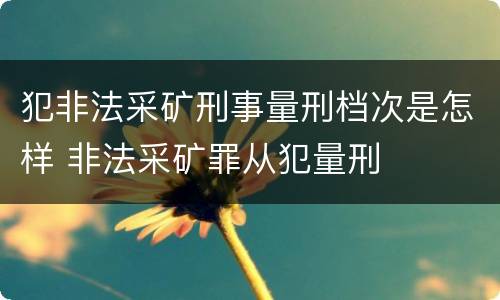 犯非法采矿刑事量刑档次是怎样 非法采矿罪从犯量刑