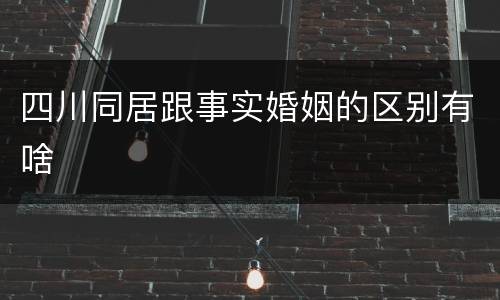 四川同居跟事实婚姻的区别有啥