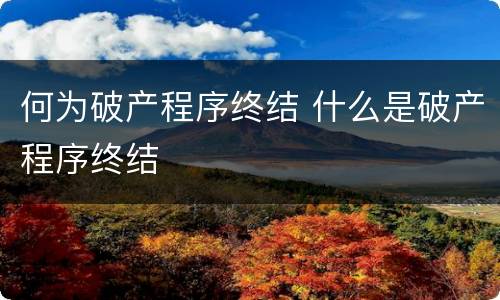 何为破产程序终结 什么是破产程序终结