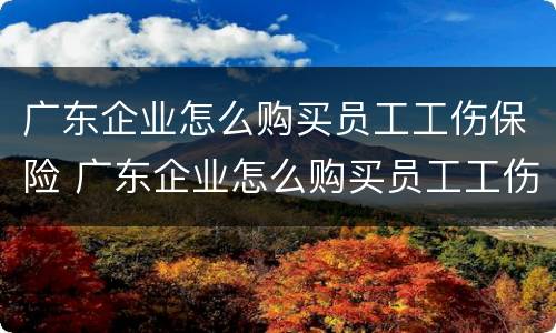 广东企业怎么购买员工工伤保险 广东企业怎么购买员工工伤保险的