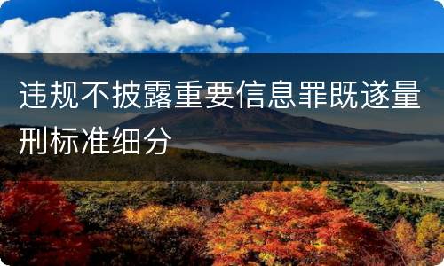 违规不披露重要信息罪既遂量刑标准细分