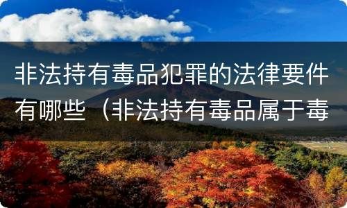 非法持有毒品犯罪的法律要件有哪些（非法持有毒品属于毒品犯罪吗?）