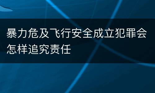 暴力危及飞行安全成立犯罪会怎样追究责任
