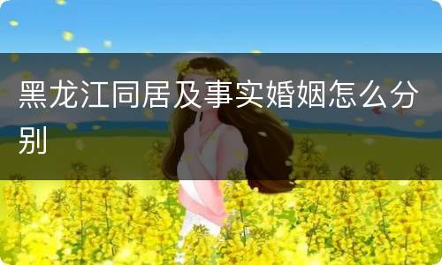 黑龙江同居及事实婚姻怎么分别