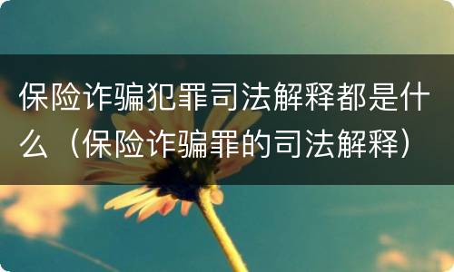 保险诈骗犯罪司法解释都是什么（保险诈骗罪的司法解释）