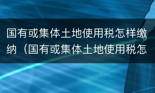 国有或集体土地使用税怎样缴纳（国有或集体土地使用税怎样缴纳税款）