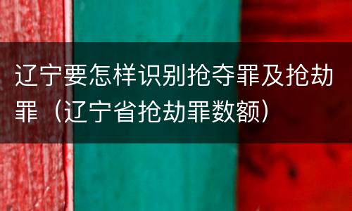 辽宁要怎样识别抢夺罪及抢劫罪（辽宁省抢劫罪数额）