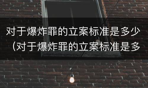 对于爆炸罪的立案标准是多少（对于爆炸罪的立案标准是多少条）